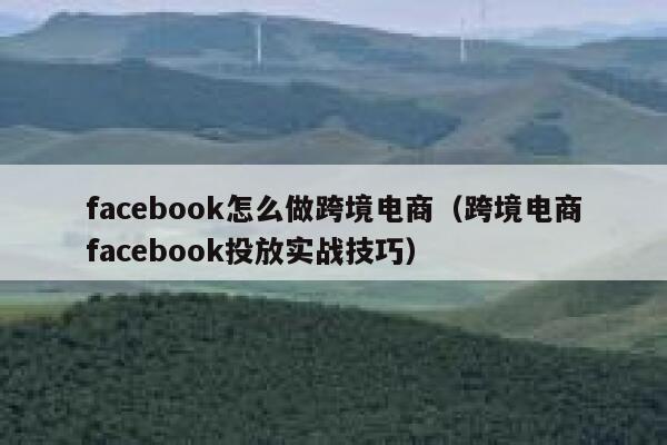 facebook怎么做跨境电商(跨境电商facebook投放实战技巧) 第1张 facebook怎么做跨境电商(跨境电商facebook投放实战技巧) 第1张
