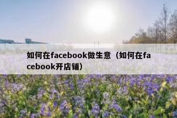 如何在facebook做生意（如何在facebook开店铺） 第1张