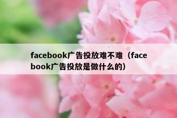 facebook广告投放难不难（facebook广告投放是做什么的） 第1张