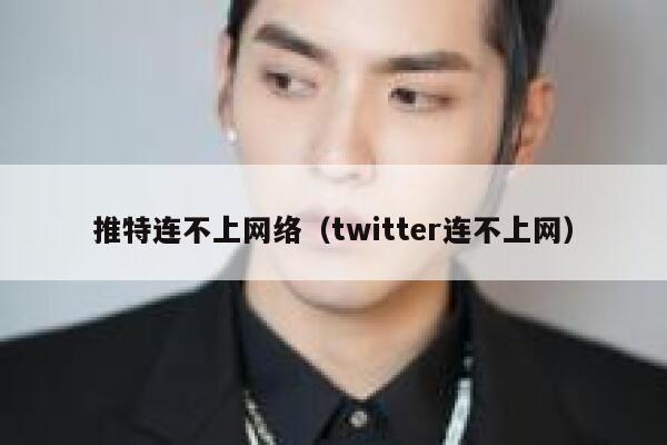 推特连不上网络（twitter连不上网） 第1张