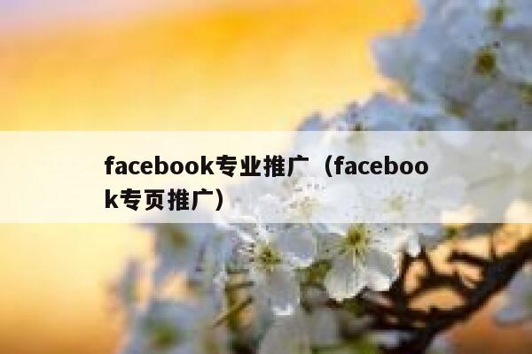 facebook专业推广（facebook专页推广） 第1张