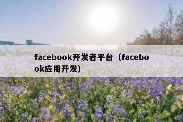 facebook开发者平台（facebook应用开发） 第1张