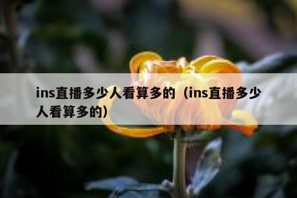 ins直播多少人看算多的（ins直播多少人看算多的） 第1张