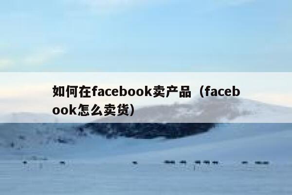 如何在facebook卖产品（facebook怎么卖货） 第1张