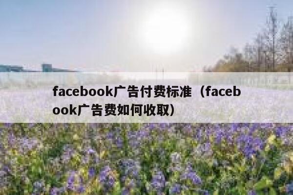 facebook广告付费标准（facebook广告费如何收取） 第1张
