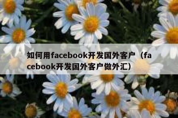 如何用facebook开发国外客户（facebook开发国外客户做外汇） 第1张