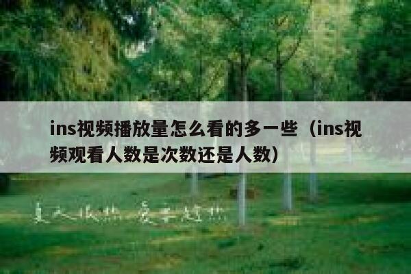 ins视频播放量怎么看的多一些（ins视频观看人数是次数还是人数） 第1张