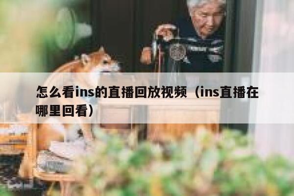 怎么看ins的直播回放视频（ins直播在哪里回看） 第1张