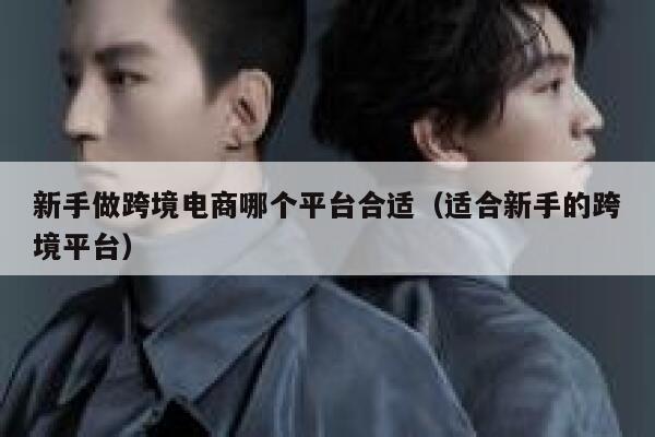 新手做跨境电商哪个平台合适（适合新手的跨境平台） 第1张
