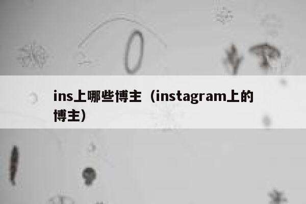 ins上哪些博主（instagram上的博主） 第1张