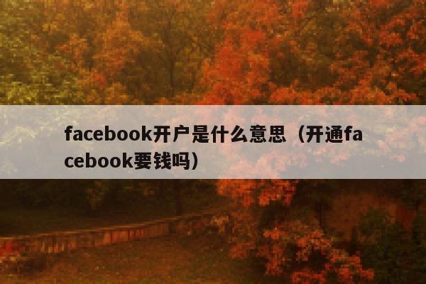 facebook开户是什么意思（开通facebook要钱吗） 第1张