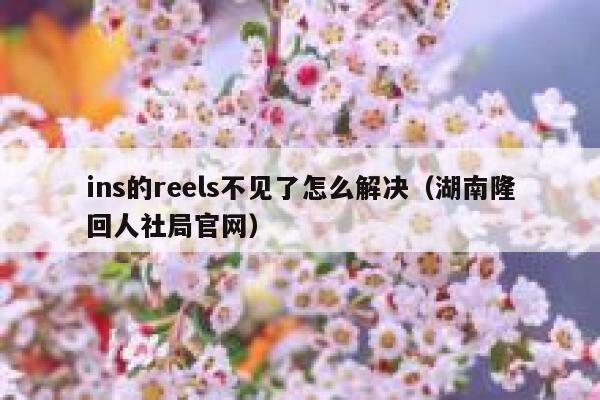 ins的reels不见了怎么解决（湖南隆回人社局官网） 第1张