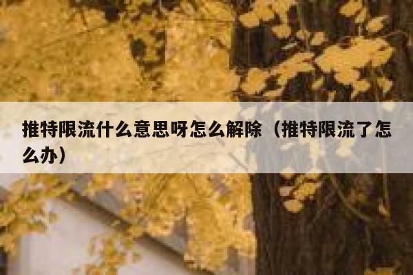 推特限流什么意思呀怎么解除（推特限流了怎么办） 第1张
