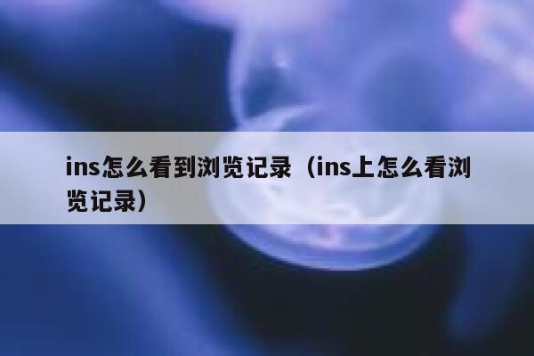 ins怎么看到浏览记录（ins上怎么看浏览记录） 第1张