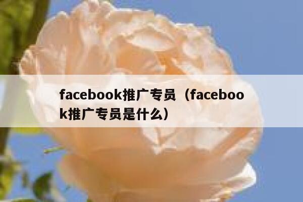 facebook推广专员（facebook推广专员是什么） 第1张
