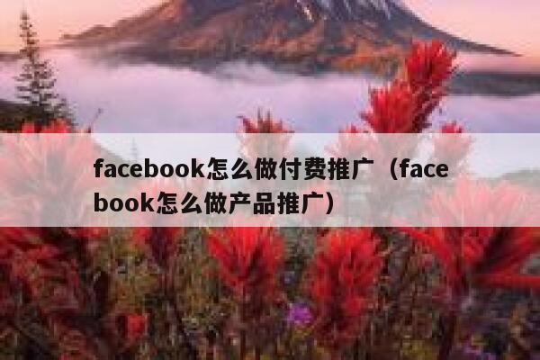 facebook怎么做付费推广（facebook怎么做产品推广） 第1张