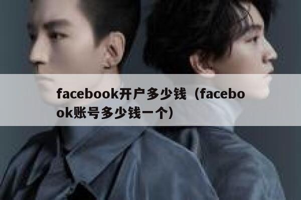 facebook开户多少钱（facebook账号多少钱一个） 第1张