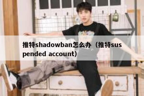 推特shadowban怎么办（推特suspended account） 第1张
