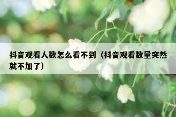 抖音观看人数怎么看不到（抖音观看数量突然就不加了） 第1张