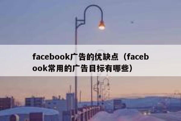 facebook广告的优缺点（facebook常用的广告目标有哪些） 第1张