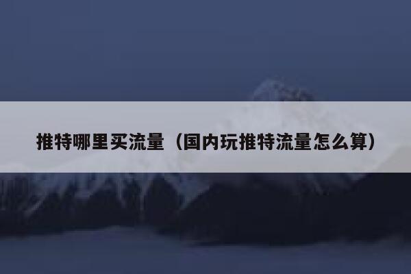 推特哪里买流量（国内玩推特流量怎么算） 第1张