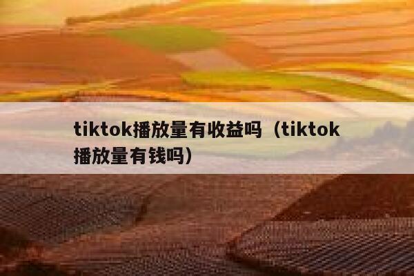 tiktok播放量有收益吗（tiktok播放量有钱吗） 第1张