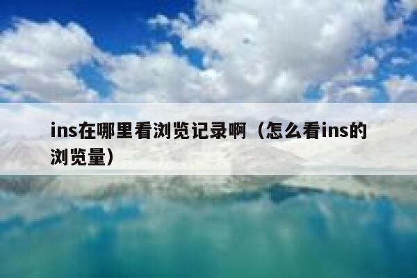 ins在哪里看浏览记录啊（怎么看ins的浏览量） 第1张