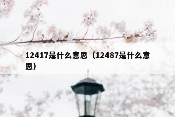 12417是什么意思（12487是什么意思） 第1张