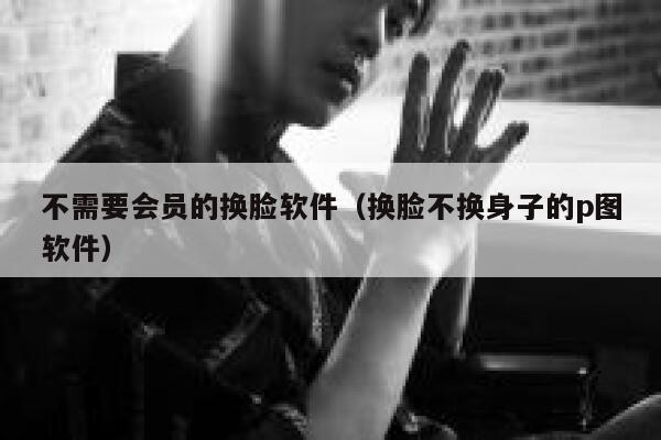 不需要会员的换脸软件（换脸不换身子的p图软件） 第1张