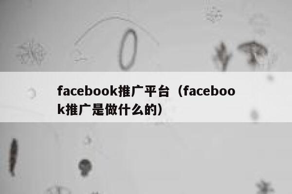 facebook推广平台（facebook推广是做什么的） 第1张