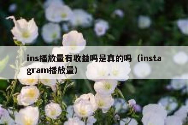 ins播放量有收益吗是真的吗（instagram播放量） 第1张