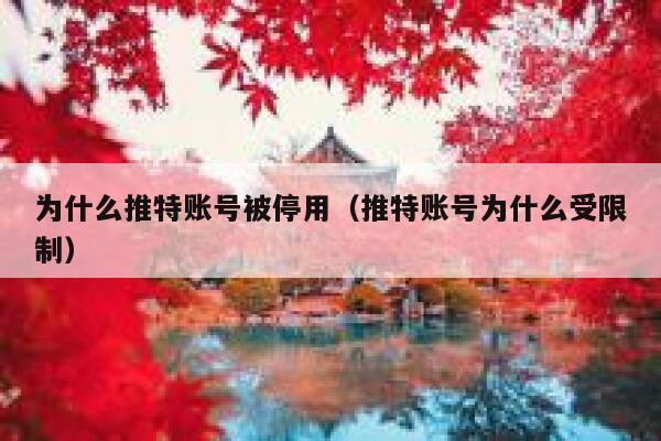 为什么推特账号被停用（推特账号为什么受限制） 第1张