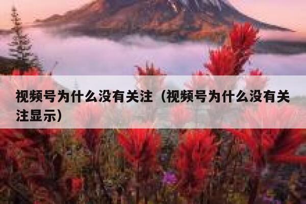 视频号为什么没有关注（视频号为什么没有关注显示） 第1张