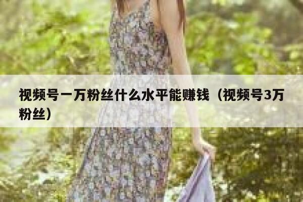 视频号一万粉丝什么水平能赚钱（视频号3万粉丝） 第1张