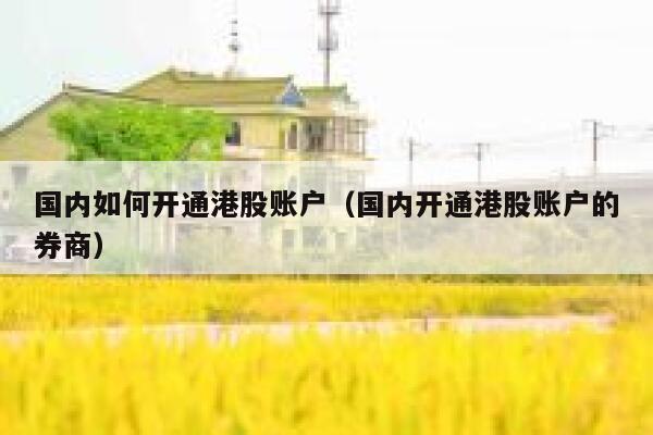 国内如何开通港股账户（国内开通港股账户的券商） 第1张