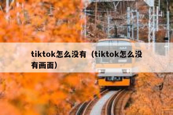 tiktok怎么没有（tiktok怎么没有画面） 第1张