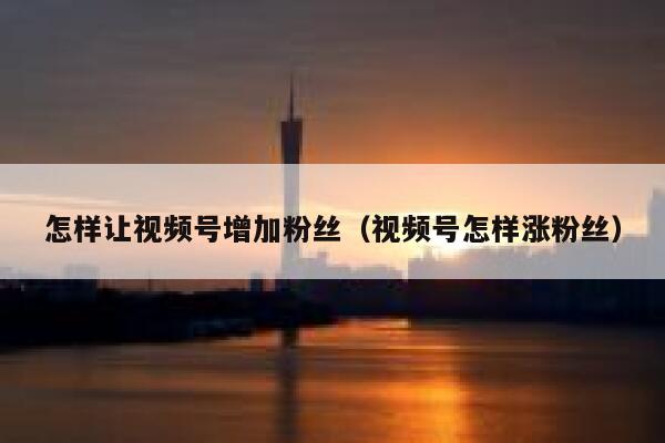 怎样让视频号增加粉丝（视频号怎样涨粉丝） 第1张