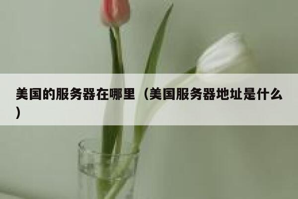 美国的服务器在哪里（美国服务器地址是什么） 第1张