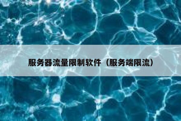 服务器流量限制软件（服务端限流） 第1张