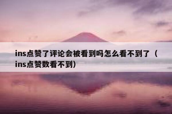ins点赞了评论会被看到吗怎么看不到了（ins点赞数看不到） 第1张