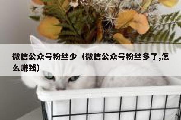 微信公众号粉丝少（微信公众号粉丝多了,怎么赚钱） 第1张