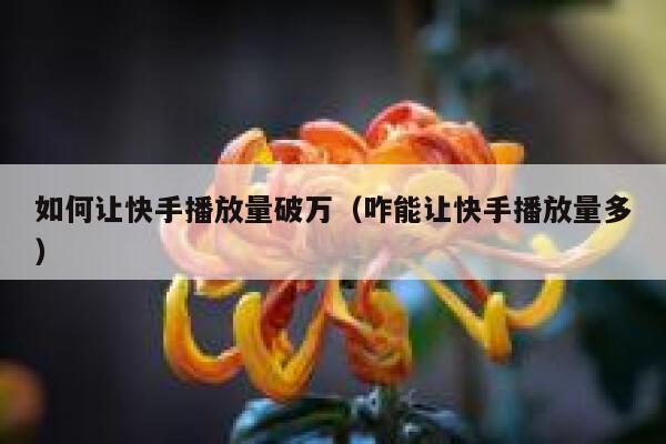 如何让快手播放量破万（咋能让快手播放量多） 第1张