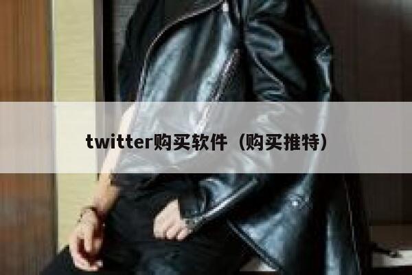 twitter购买软件（购买推特） 第1张