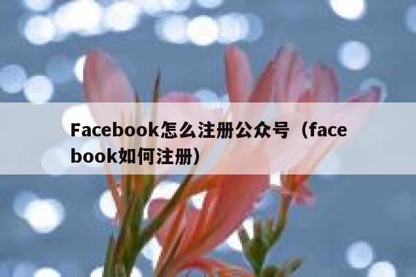 Facebook怎么注册公众号（facebook如何注册） 第1张