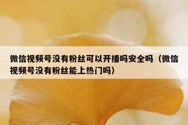 微信视频号没有粉丝可以开播吗安全吗（微信视频号没有粉丝能上热门吗） 第1张