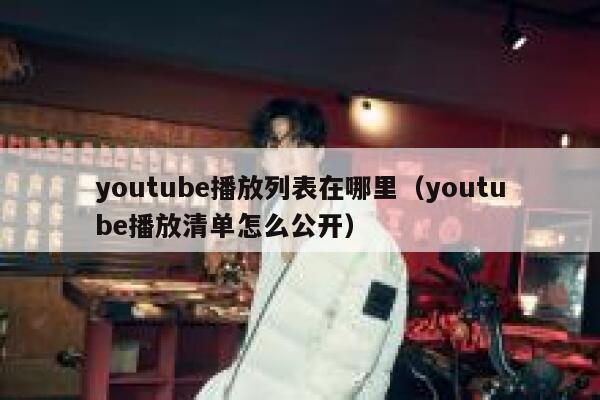 youtube播放列表在哪里（youtube播放清单怎么公开） 第1张