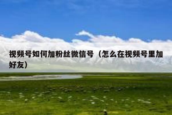 视频号如何加粉丝微信号（怎么在视频号里加好友） 第1张