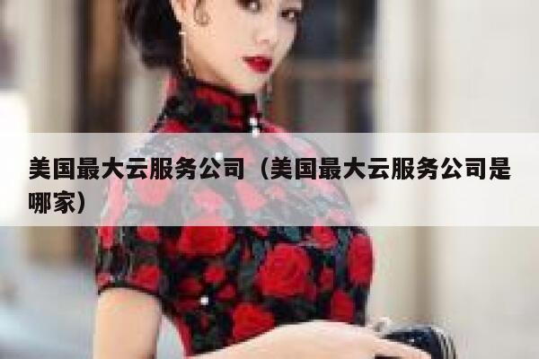 美国最大云服务公司（美国最大云服务公司是哪家） 第1张