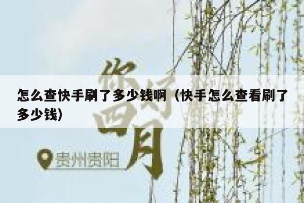 怎么查快手刷了多少钱啊（快手怎么查看刷了多少钱） 第1张
