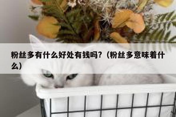 粉丝多有什么好处有钱吗?（粉丝多意味着什么） 第1张